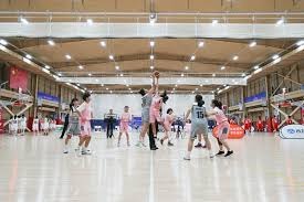 陈晨威进攻端多样性体现